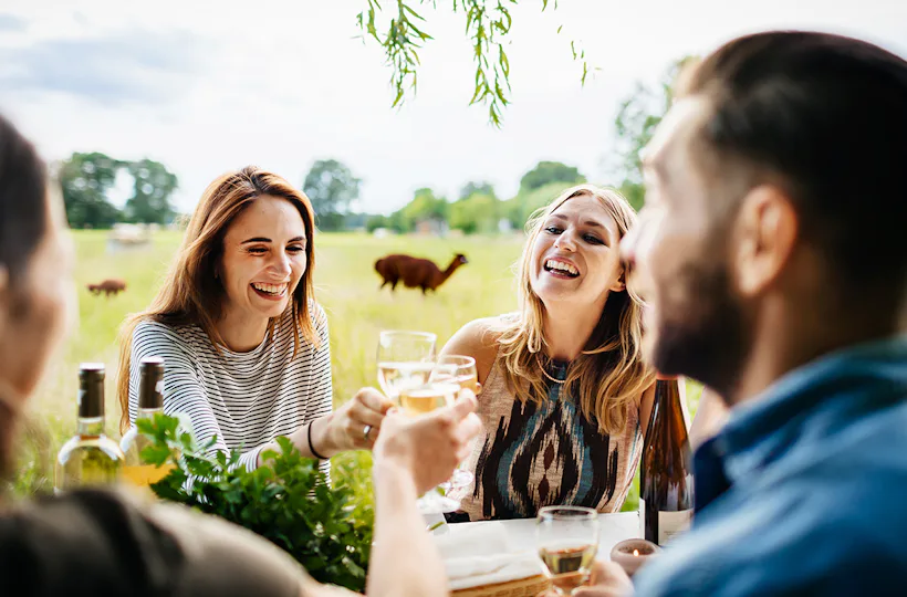 Weinprobe auf der Alpakaweide