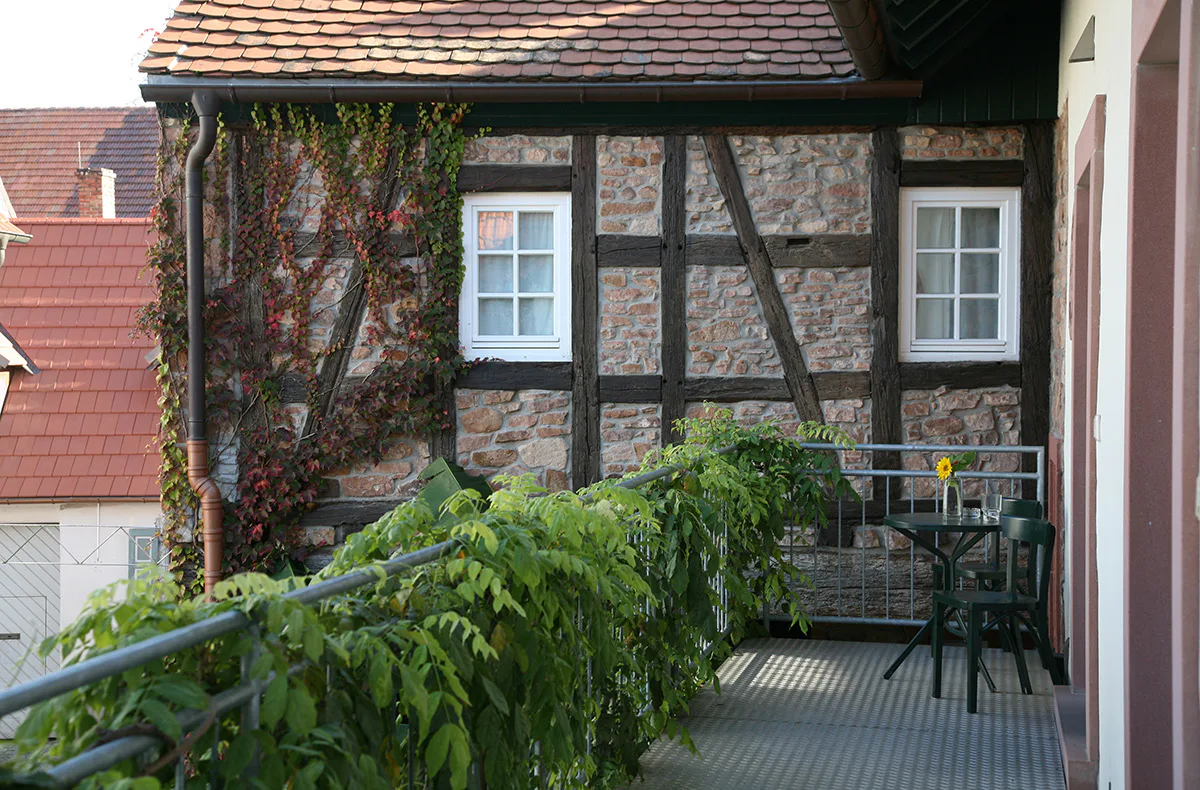 Weinreise Weisenheim für 2 (1 Nacht) - 2