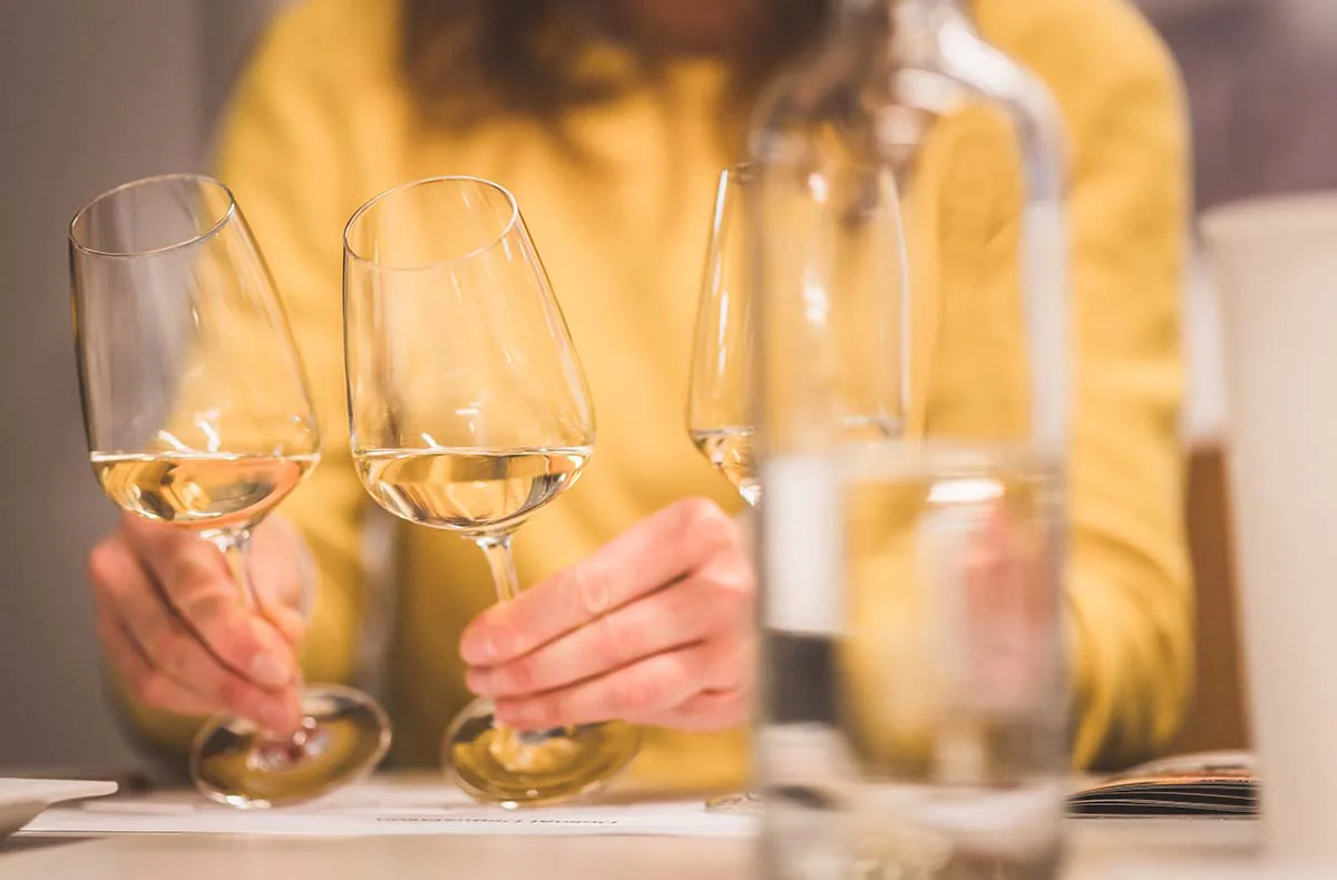 Weinseminar für Einsteiger Münchenstein - 1