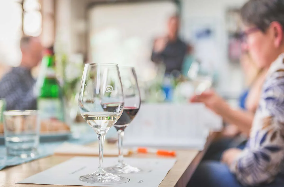 Weinseminar Einsteiger für 2 Regensburg - 4