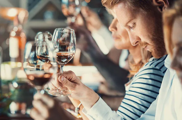 Weinseminar für Einsteiger Hamburg