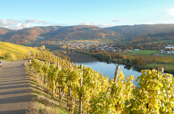 Weinwanderung und Schifffahrt auf der Mosel Bernkastel