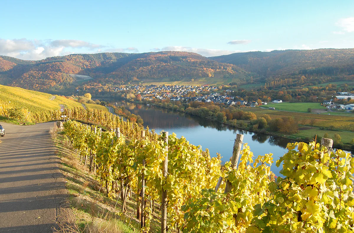 Weinwanderung und Schifffahrt auf der Mosel Cochem - 5