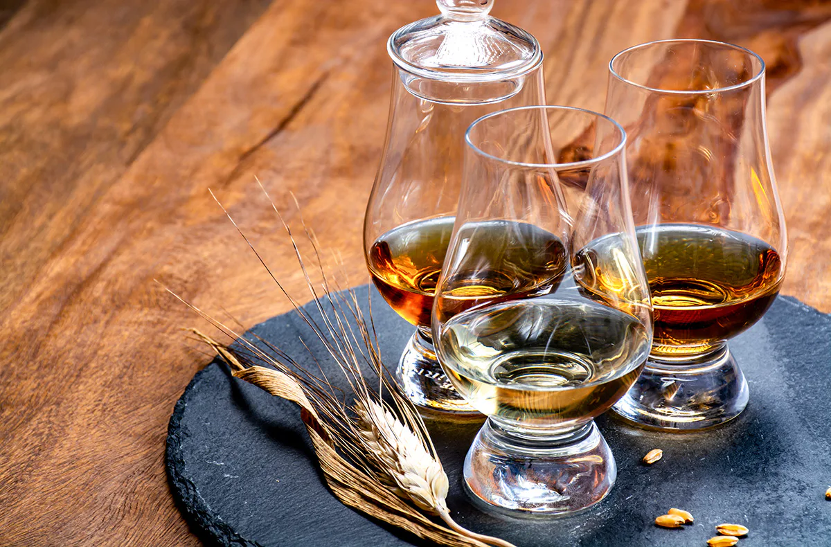 Whisky Tasting Frankfurt am Main für 2 - 4