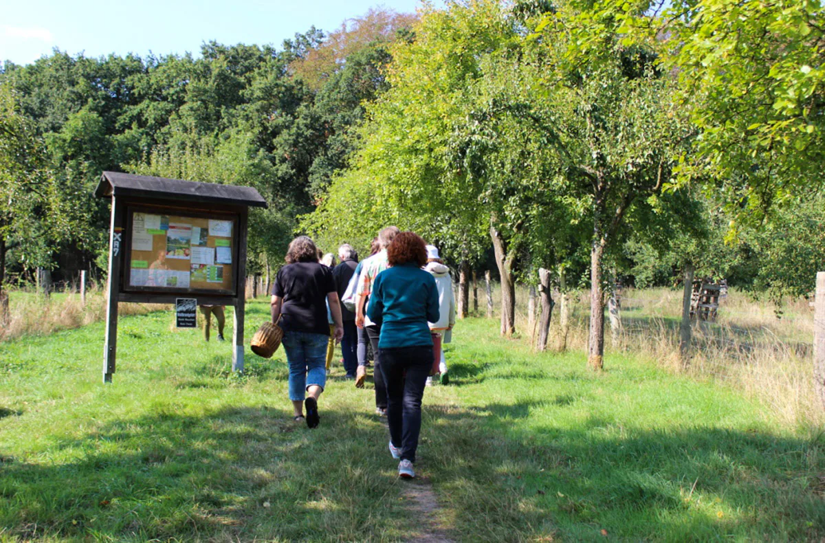 Wildkräuter Kurs Uhldingen-Mühlhofen - 3