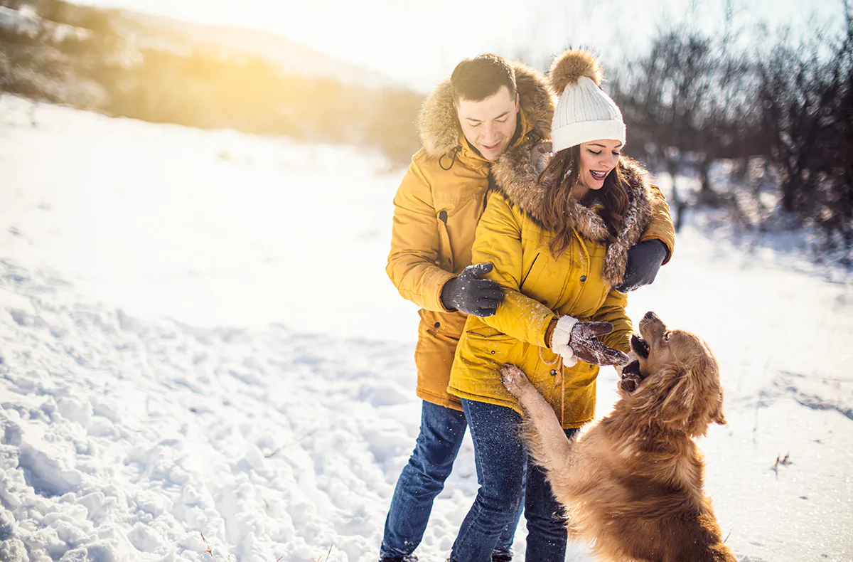 Winterurlaub mit Hund auf Sylt für 2 (1 Nacht) - 2
